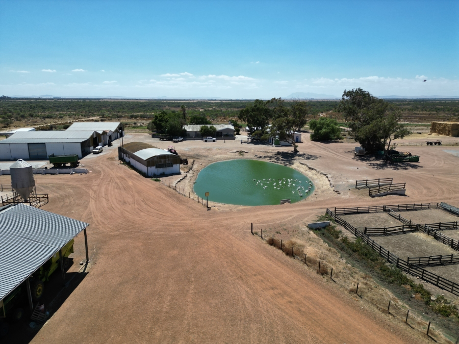 5 Bedroom Property for Sale in Darling Western Cape